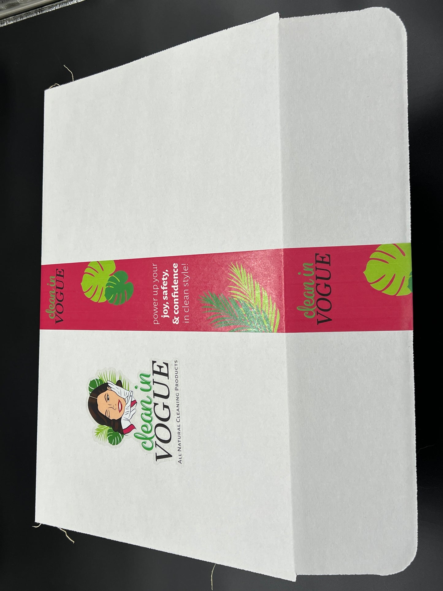 Clean in Vogue Starter Kit – All-natural Plant-Based Cleaners